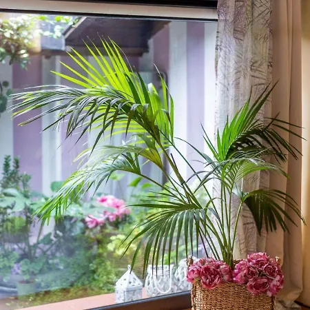 Gæstehus Sweethome Domus 250mq Nel Centro Di Con Vista Sul Teatro Verona