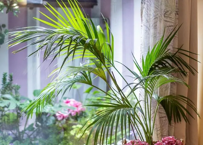 게스트하우스 Sweethome Domus 250mq Nel Centro Di Con Vista Sul Teatro 베로나